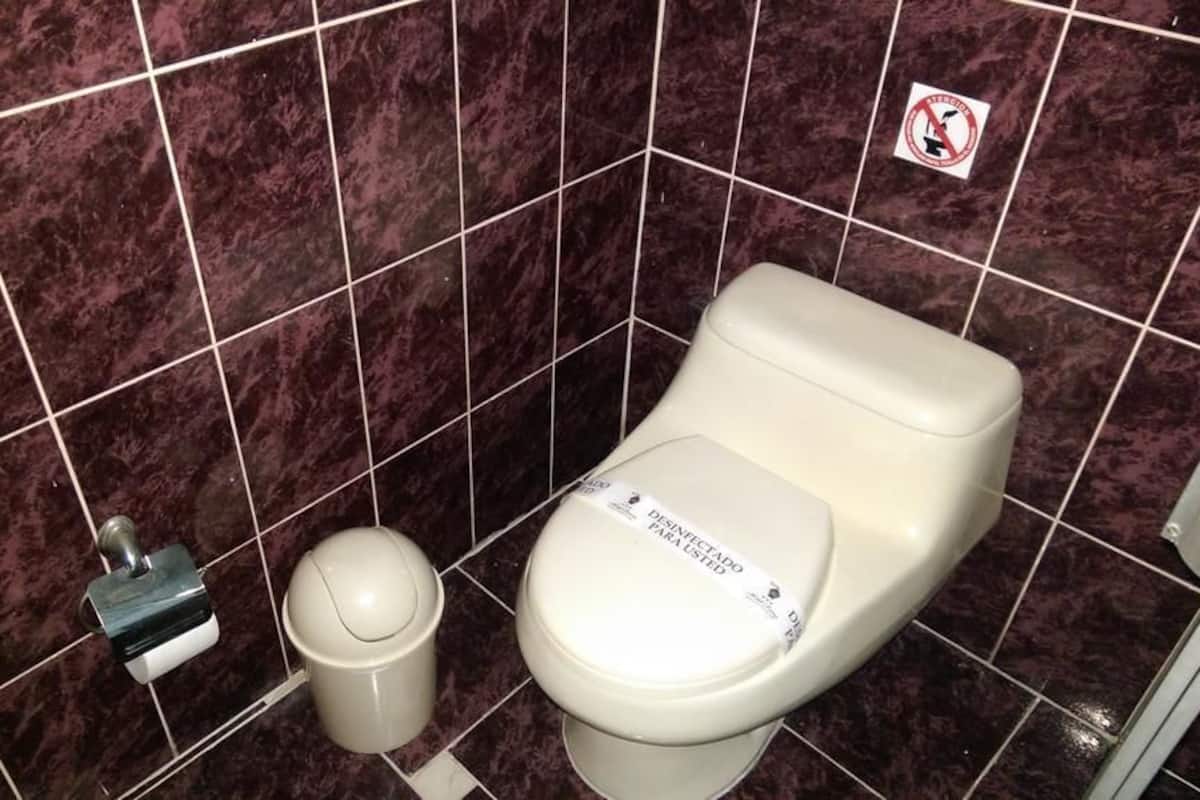 Kostenlose Toilettenartikel, Haartrockner, Handtücher