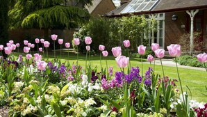 Garden - University of Oxford, St Anne's College - Campus Accommodation (Oxford)