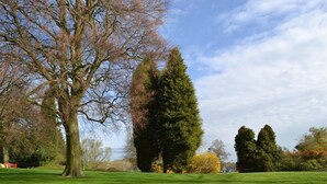 Property grounds - University of Wolverhampton, Telford Innovation Campus (Telford)