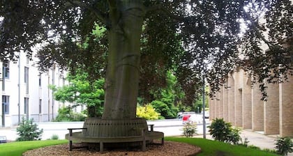 University of Cambridge, Harvey Court - Campus Accommodation
