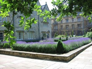 Property grounds - University of Oxford, Trinity College - Campus Accommodation (Oxford)