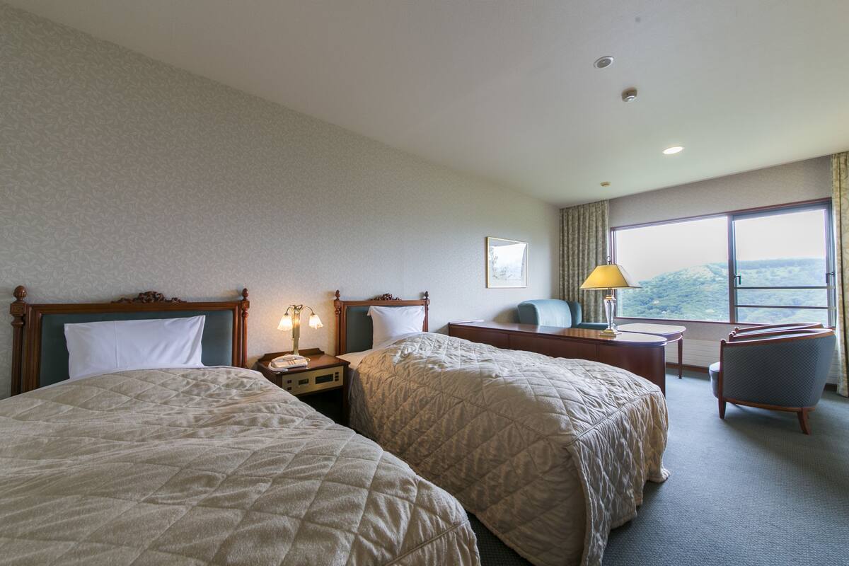 deluxe twin room, non smoking | mountain view