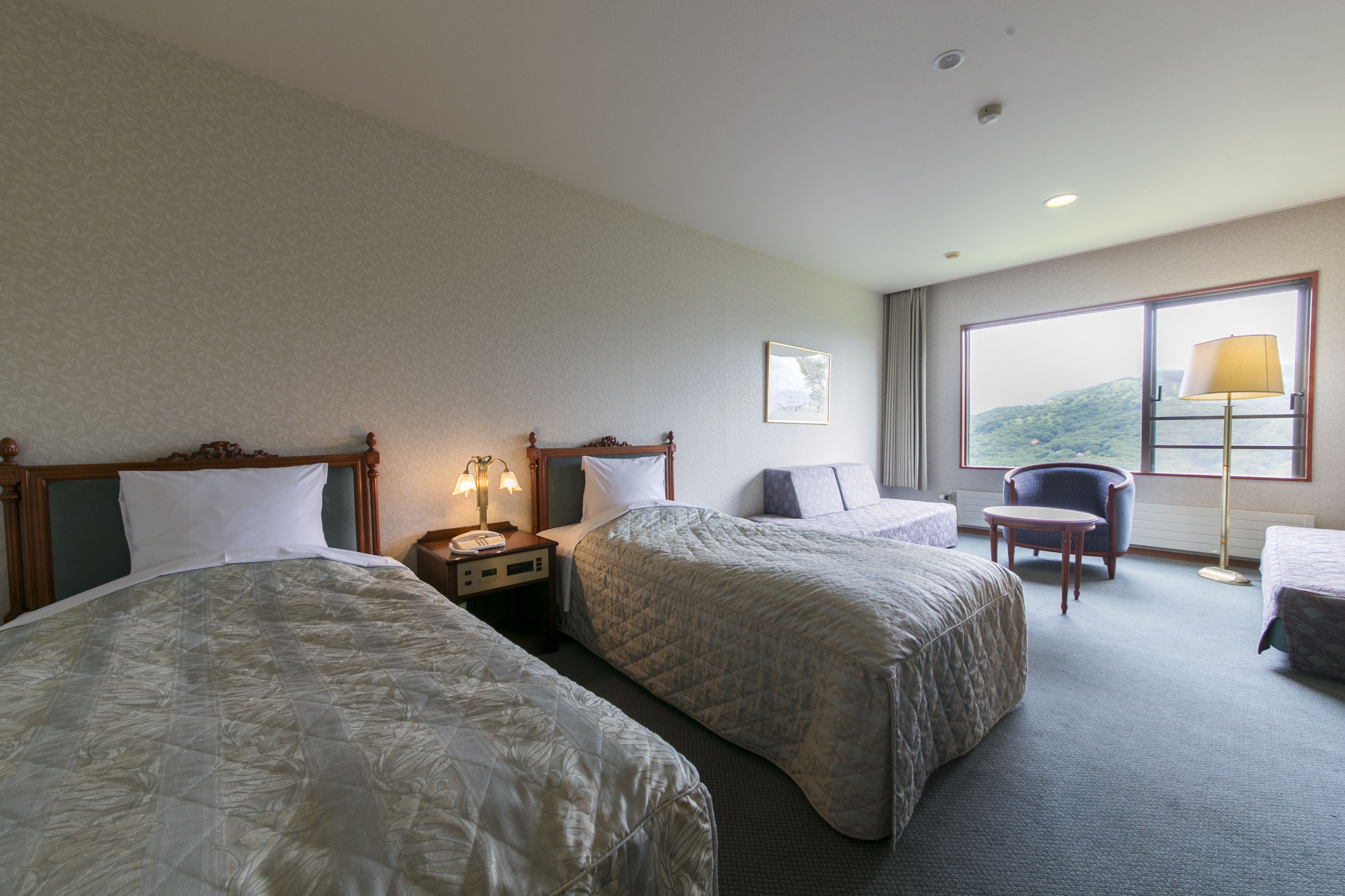 standard twin room, non smoking | mountain view