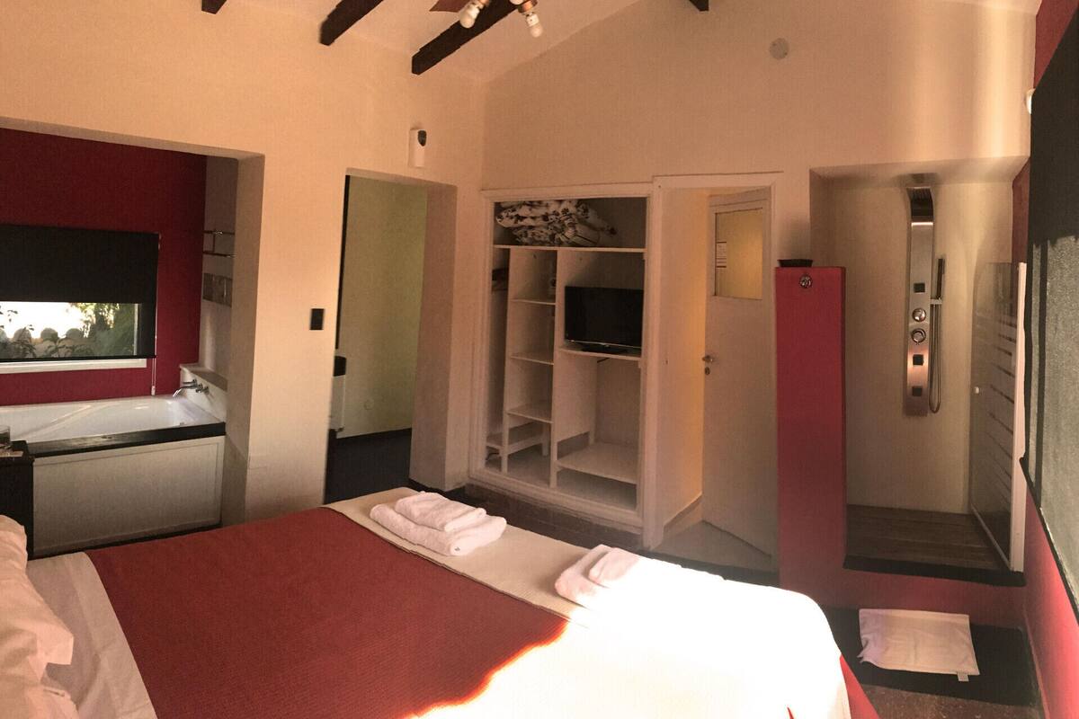 Quarto de hotel com cama, televisão, guarda-roupa e área de chuveiro.