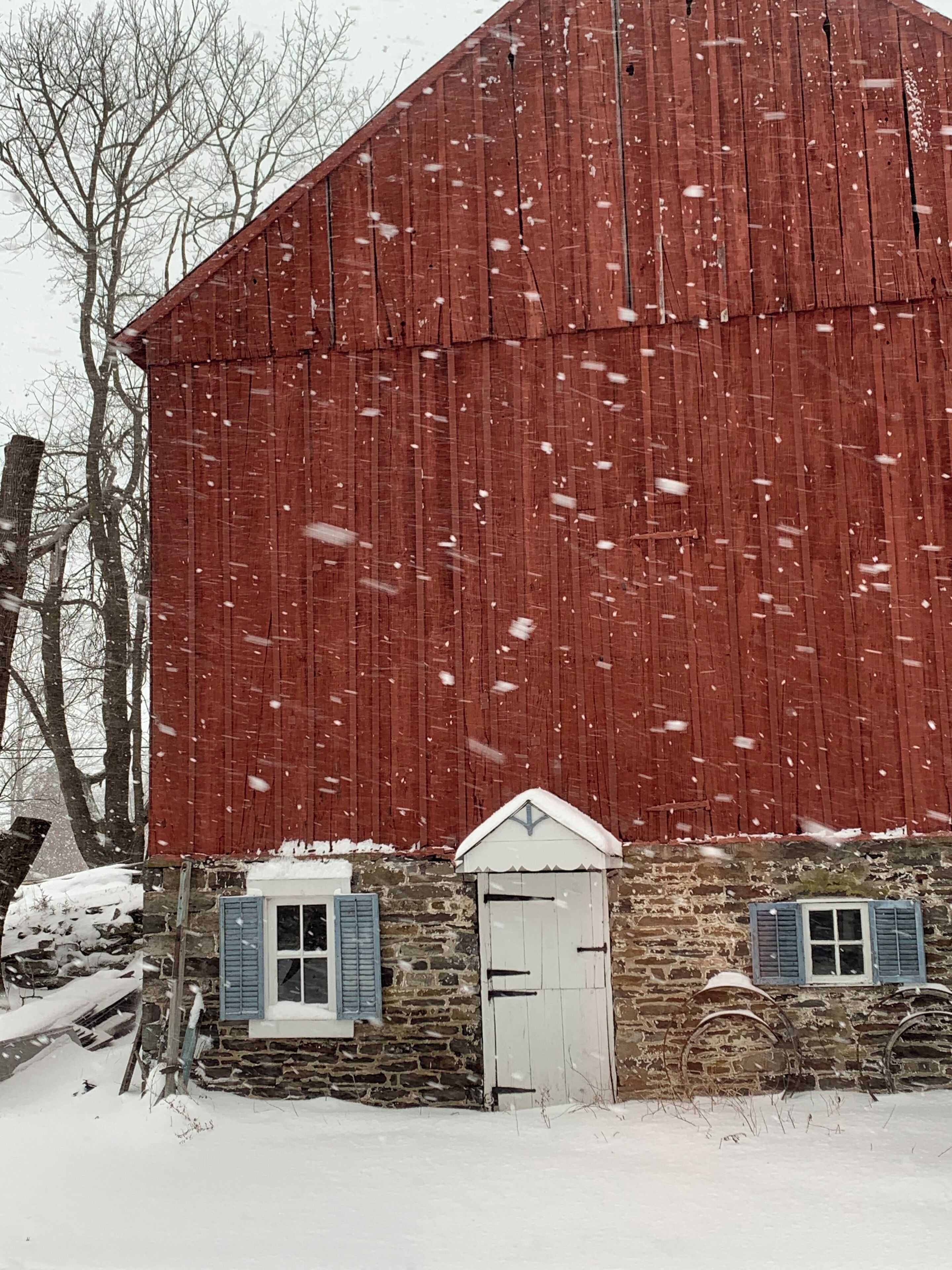 A red barn with a white door and blue shutters, surrounded by snow.