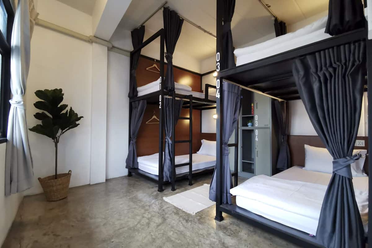 A room with bunk beds, a potted plant, and a mirror.