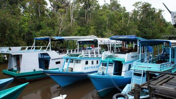 Una hilera de barcos amarrados en un muelle, con un bosque al fondo.