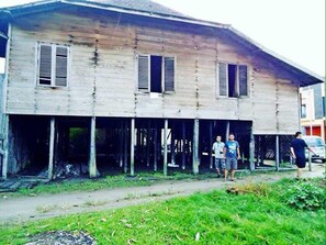 Ecotours - Houseboat Bee Kelotok (Kumai)