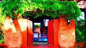 Ảnh chưa phân loại, 3 trong số 49 ảnh, nút