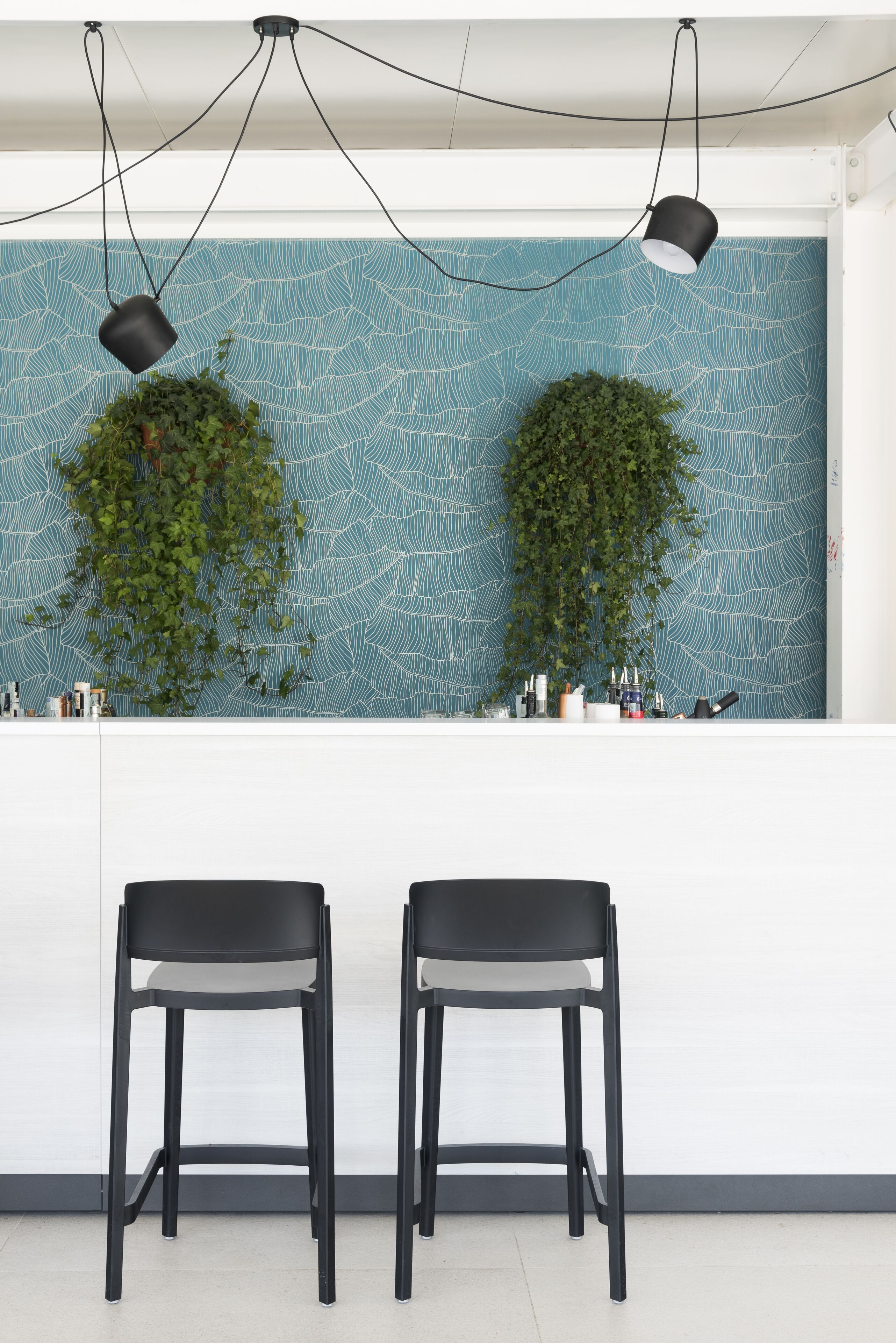 A modern reception area with two black bar stools, a white counter, and two hanging plants against a textured blue wall.
