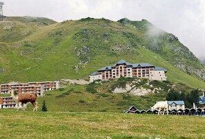 Ngoại thất