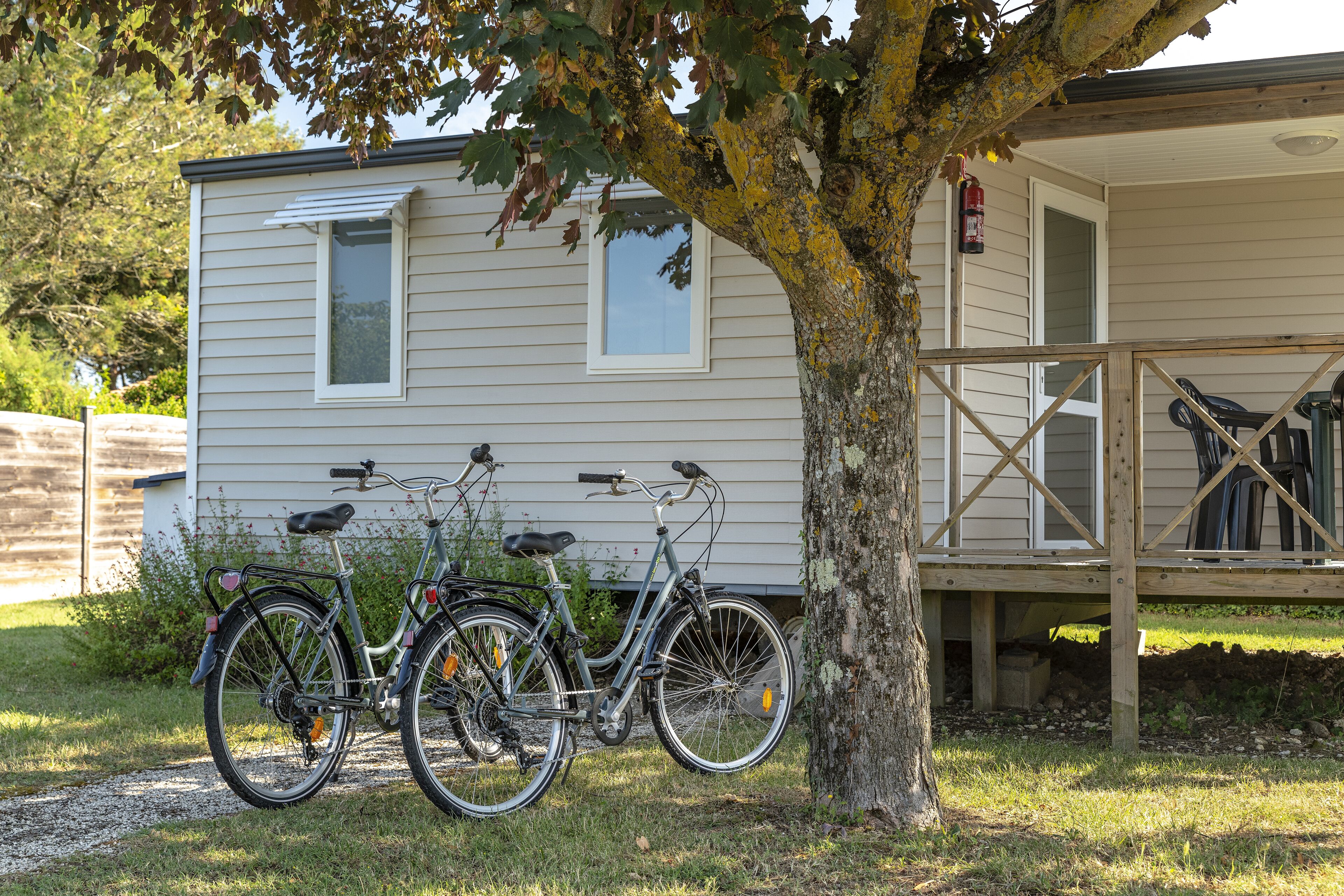 A small, single-story building with a porch and a bicycle parked under a tree.