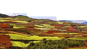 منوع