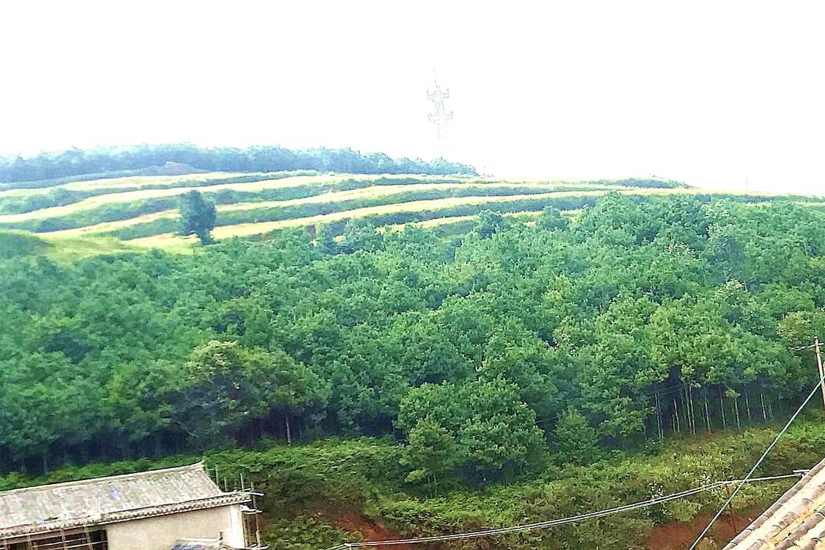 Bàn, màn/rèm cản sáng, phòng cách âm 