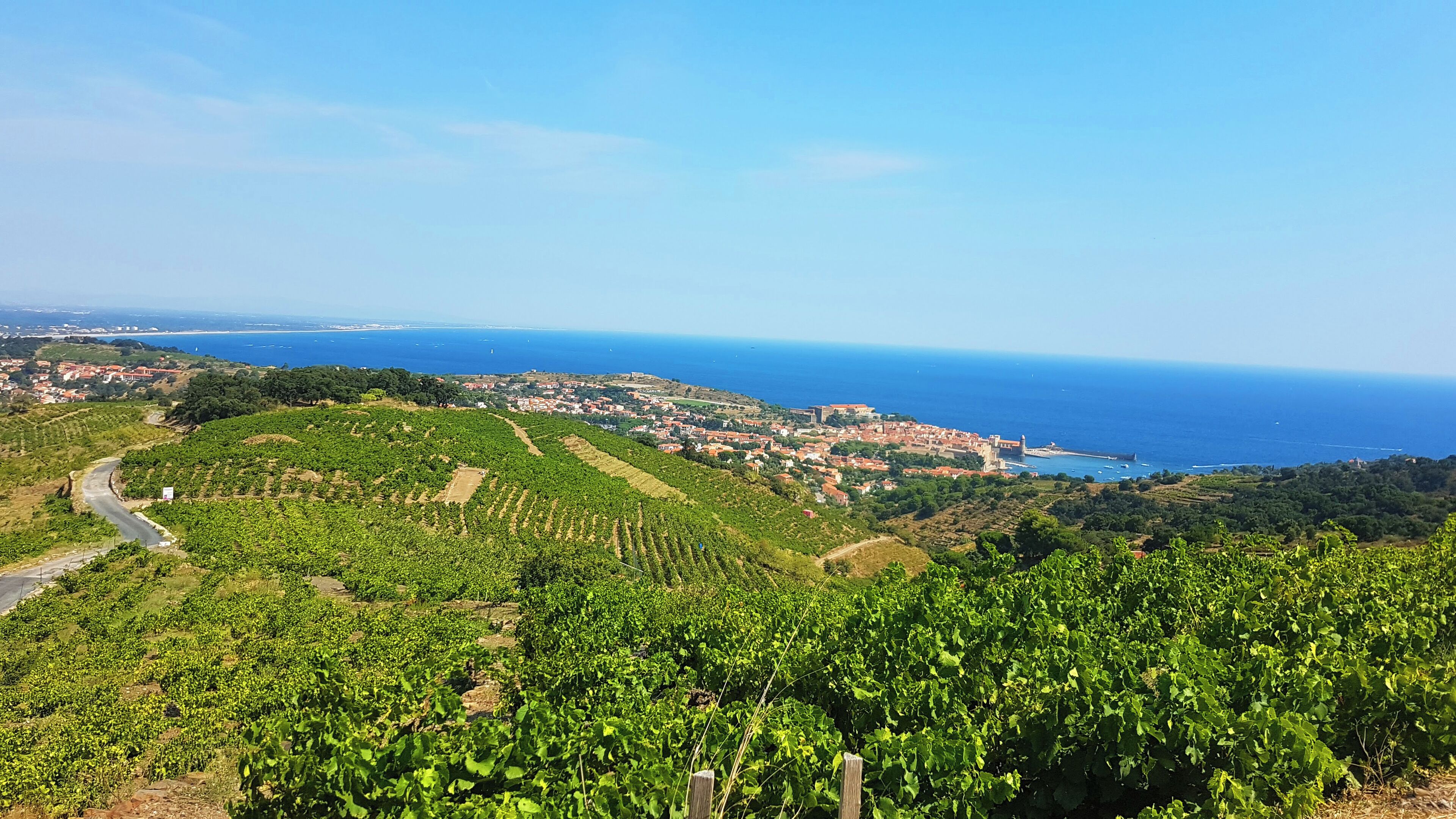 Photo - Village Vacances Azureva Argelès-sur-Mer