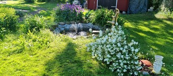 Paradiset