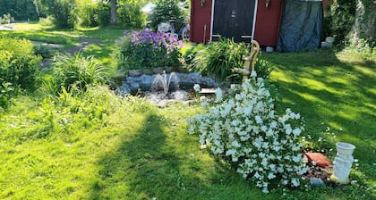 Paradiset