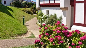 Ein traditionelles Gebäude mit einem Weg, der zu einem weißen Eingang führt, umgeben von üppiger Vegetation und farbenprächtigen Blumen.
