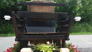 Un banc en bois avec un panier posé dessus et des plantes en pot de chaque côté.