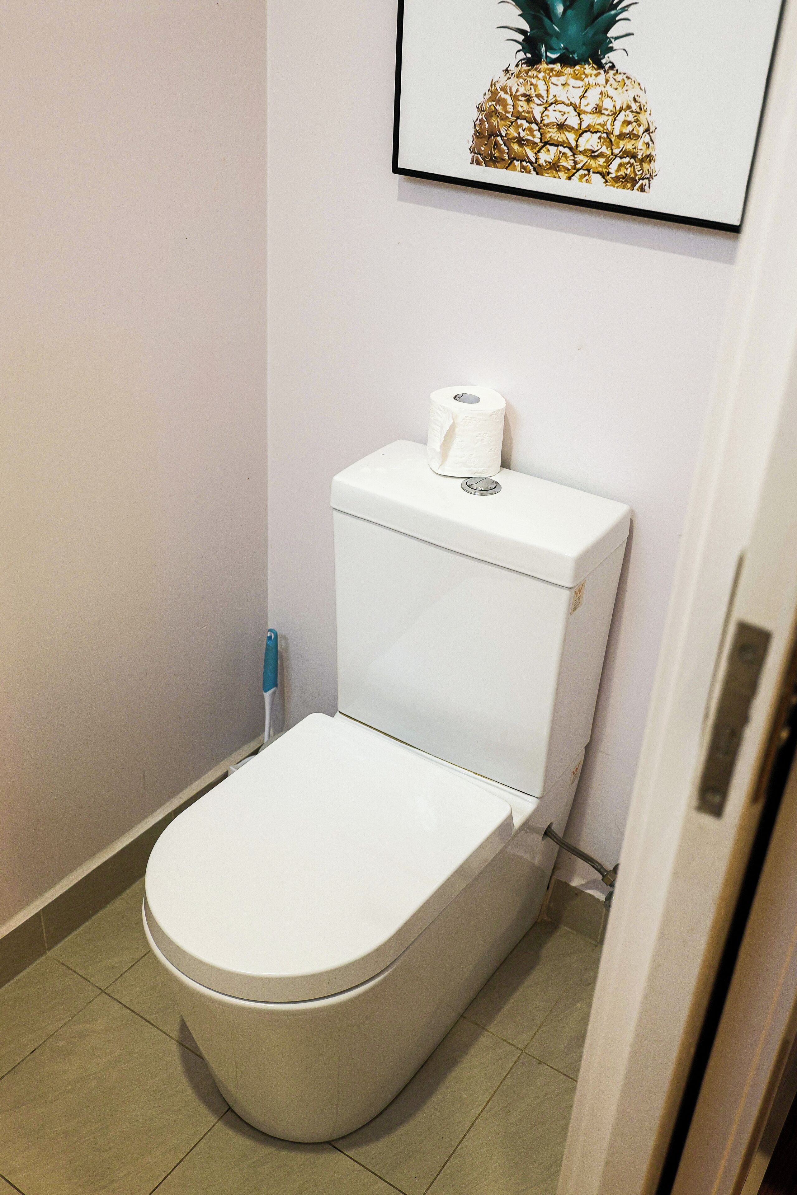 A standard white toilet with a roll of toilet paper on top, a blue cleaning brush, and a framed pineapple artwork on the wall.