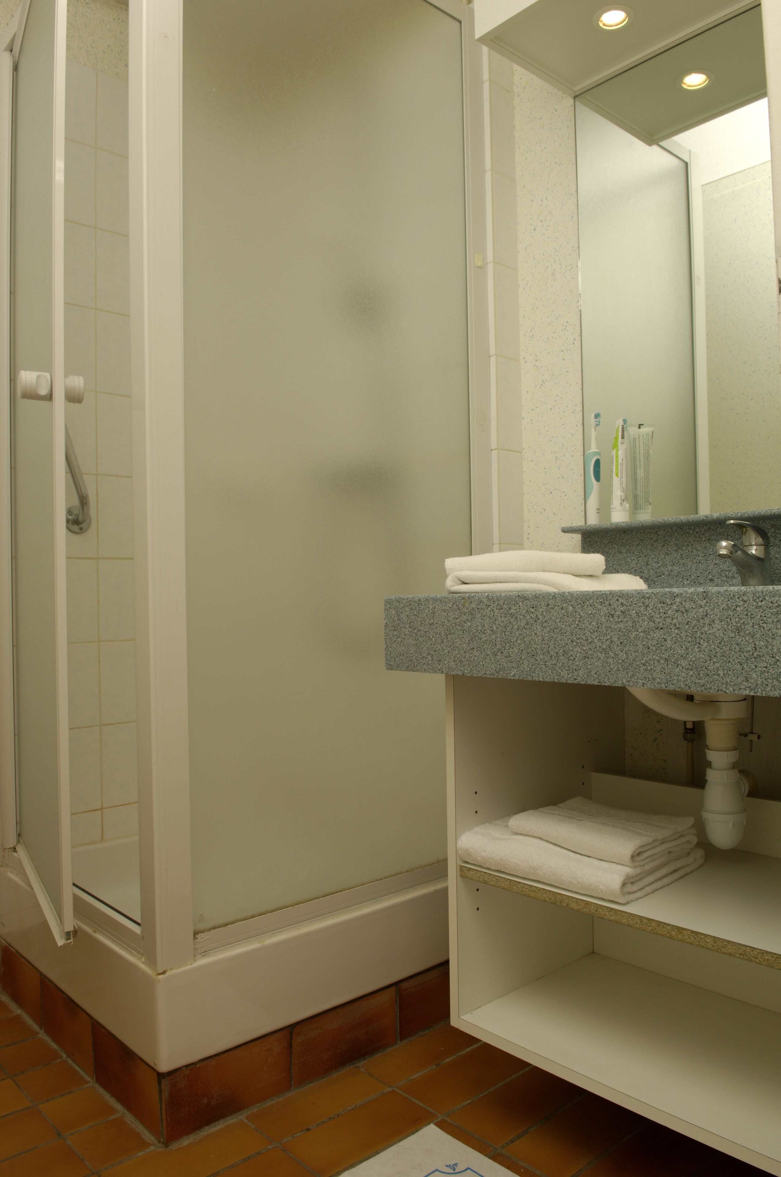 Een badkamer met een douche, een wastafel met spiegel en een handdoekrek.