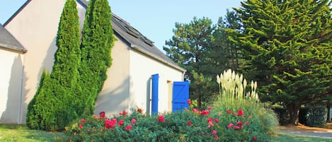 Ein Haus mit geneigtem Dach, eine hohe Nadelbaum und ein Garten mit roten Blumen.