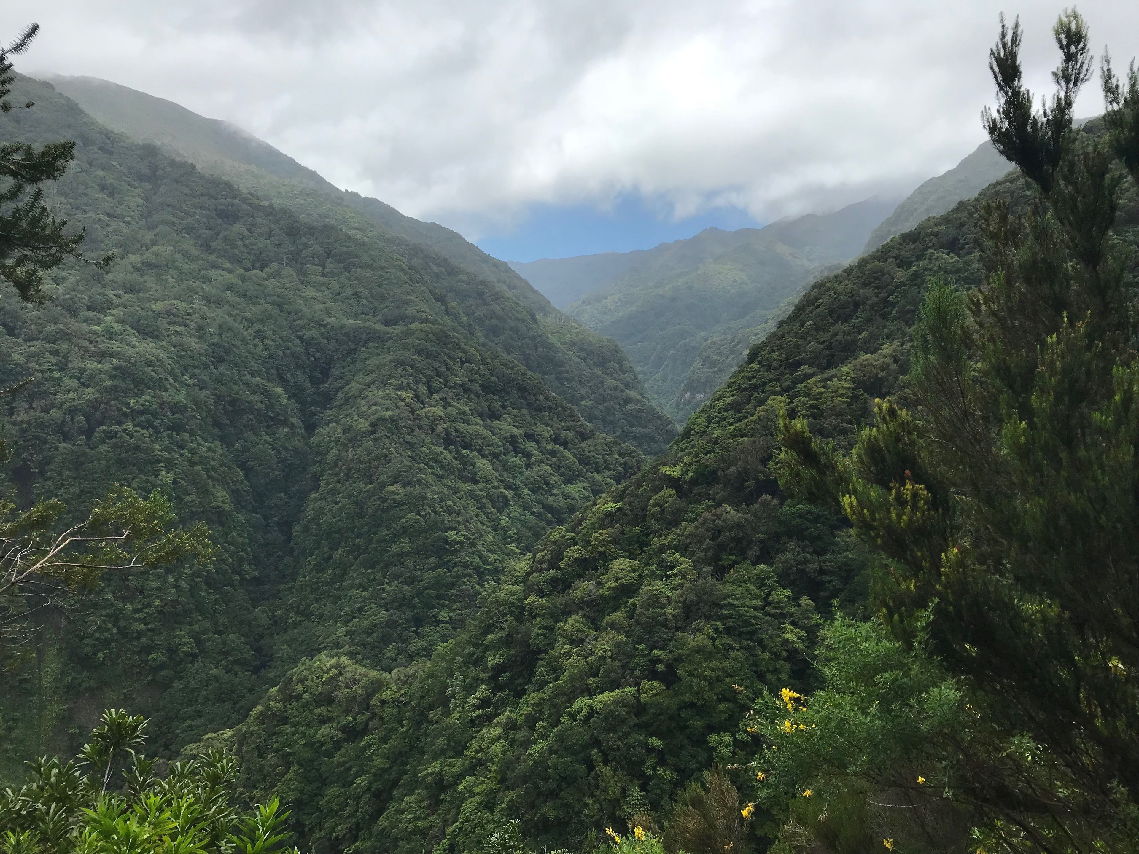 land view from property