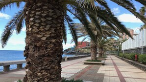 A coastal walkway lined with palm trees and a stone wall, leading to a body of water. - Penthouse Caniço de Baixo (Santa Cruz)
