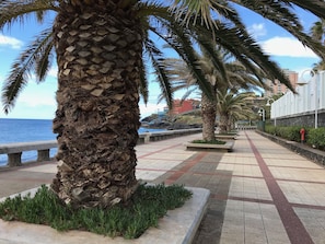 Nära stranden och svart sandstrand