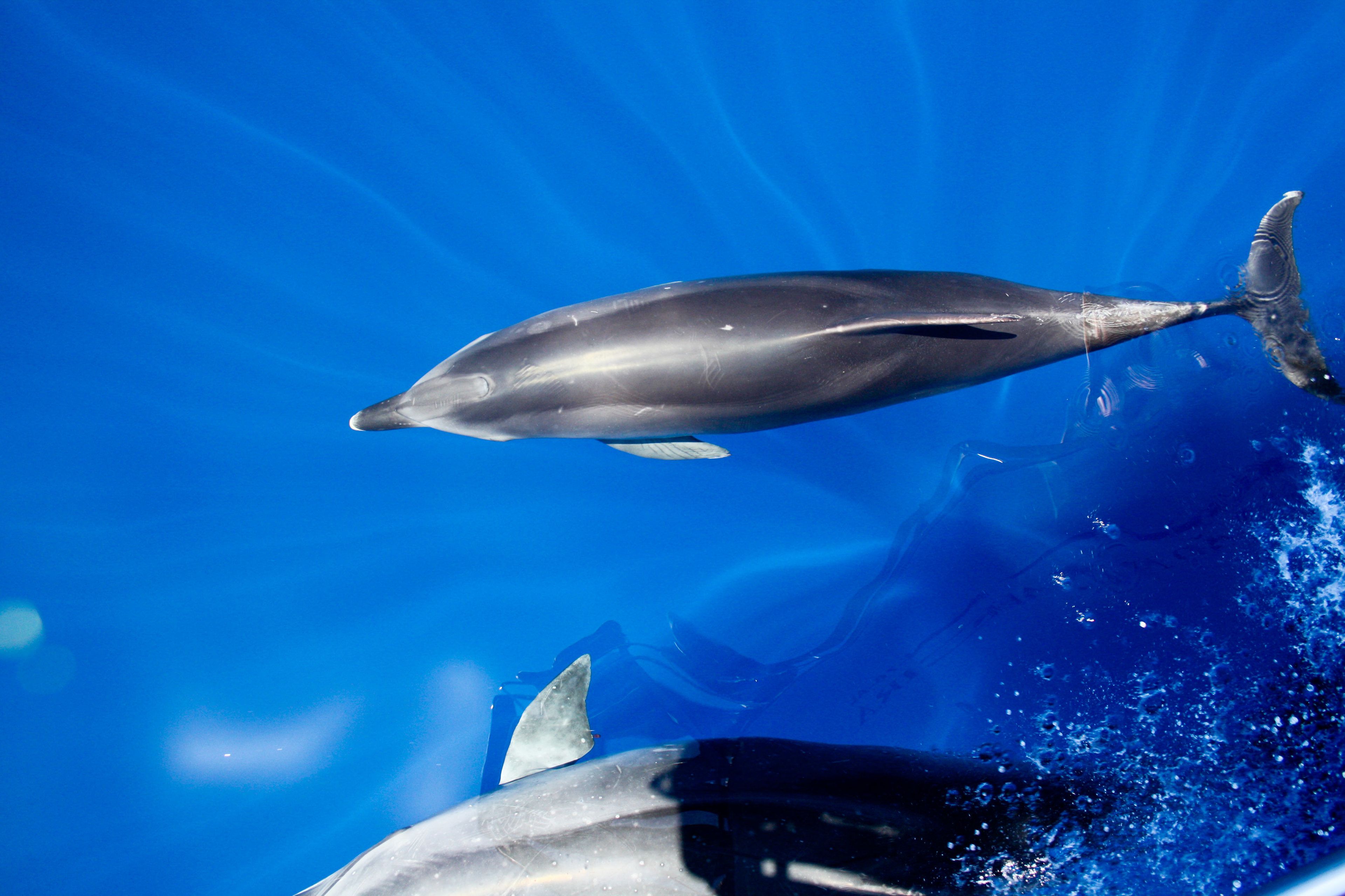 beach nearby, black sand