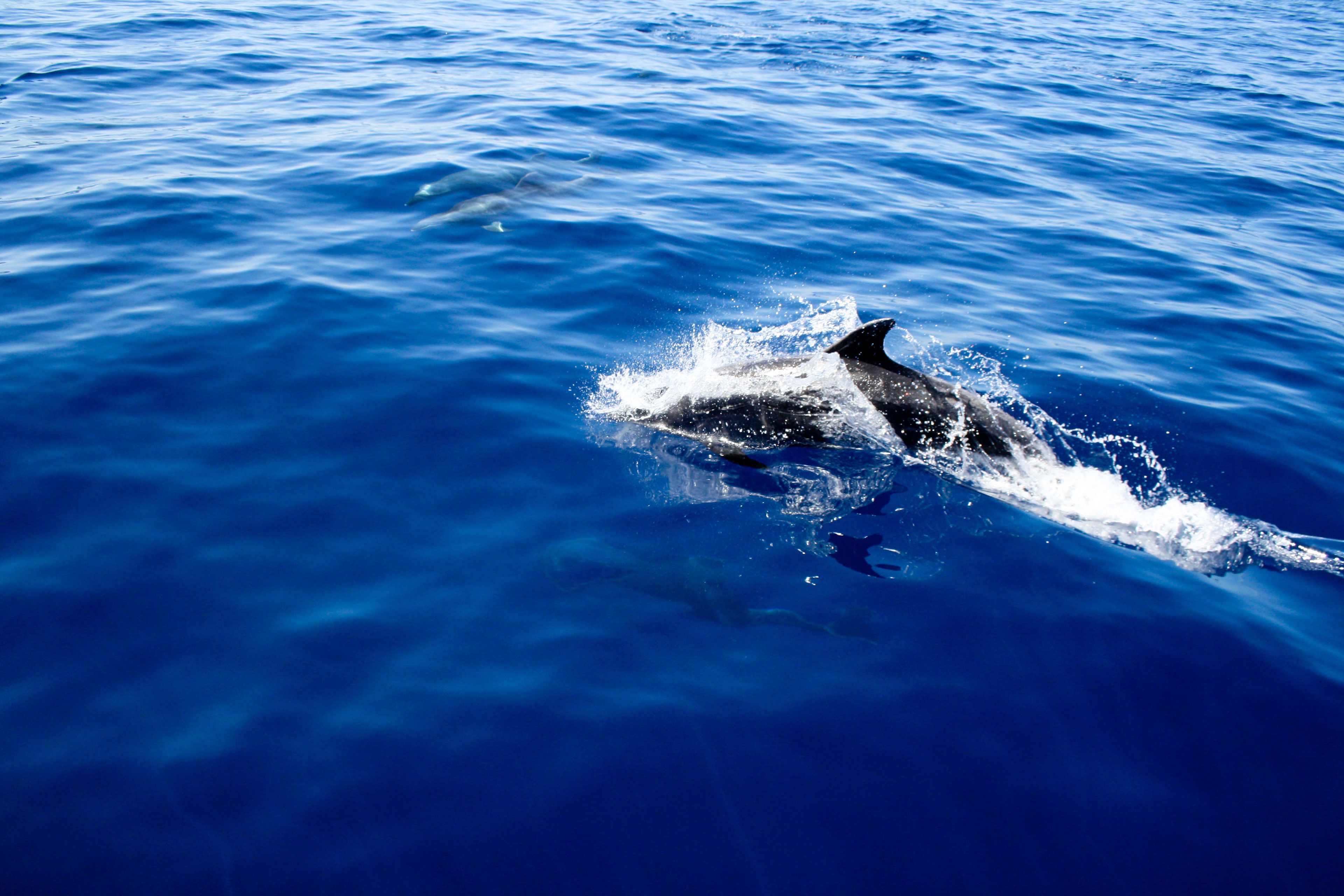 beach nearby, black sand