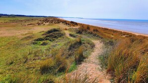 Ein Küstenpfad mit grüner Böschung, der zum Strand führt.