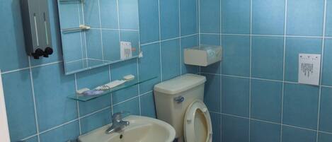 Un baño con azulejos azules, un lavabo, un inodoro y un espejo.