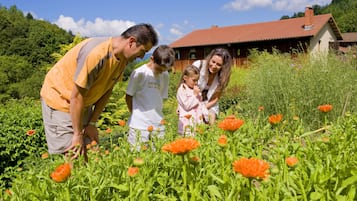 Children's activities