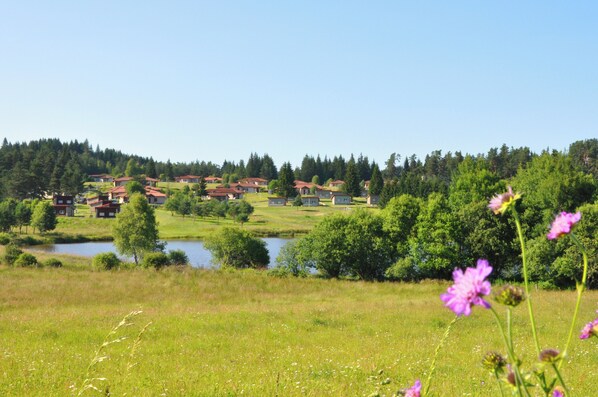 Un paysage rural avec des maisons, un lac et une colline boisée.