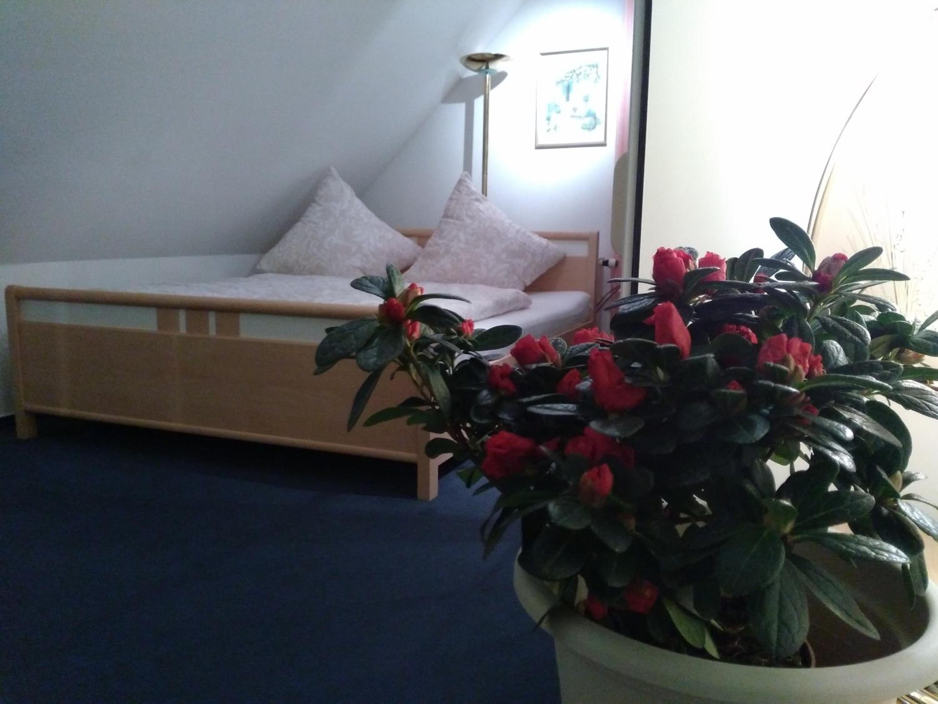 individually decorated, individually furnished, desk, blackout curtains