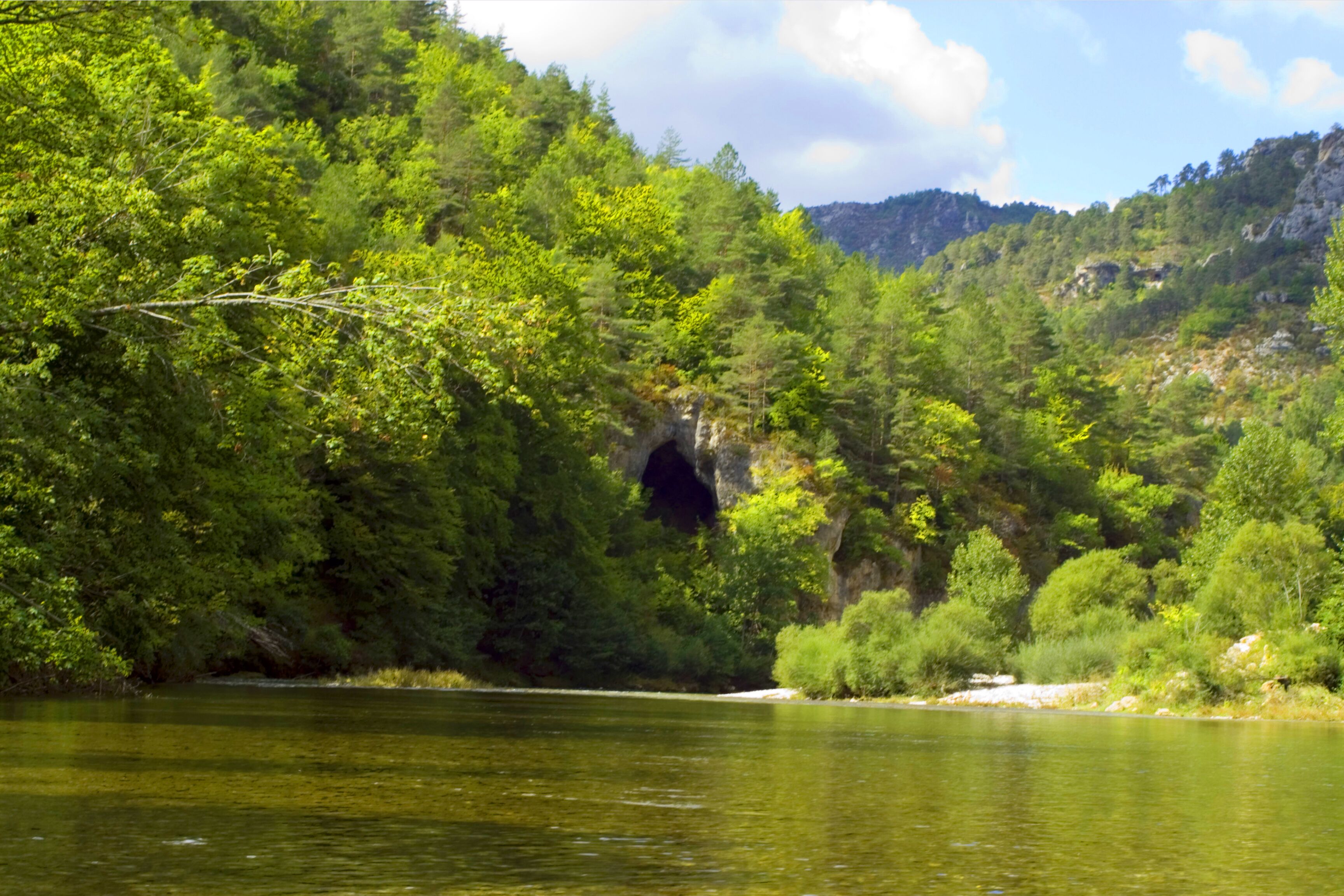 Un paisaje natural con un río, un bosque verde denso y la entrada de una cueva.