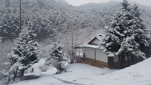 Paisaje nevado con una casa y árboles.