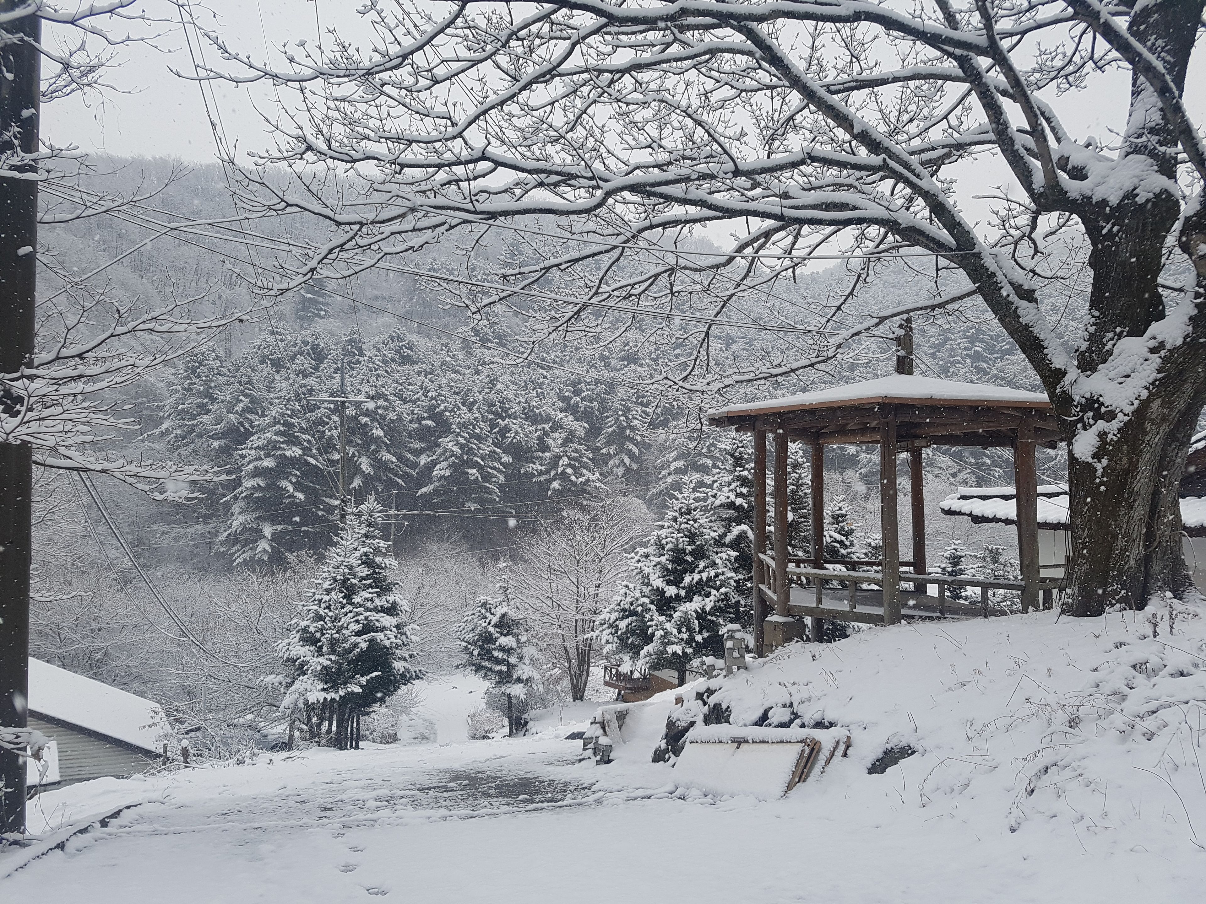 Um gazebo em uma paisagem nevada, com vista para árvores e colinas cobertas de neve.