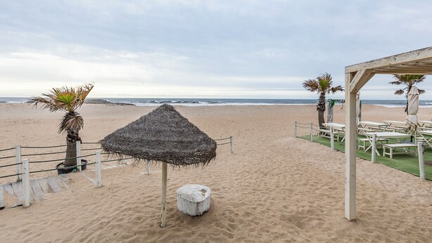 A beachside area with a thatched structure, palm trees, and picnic tables.