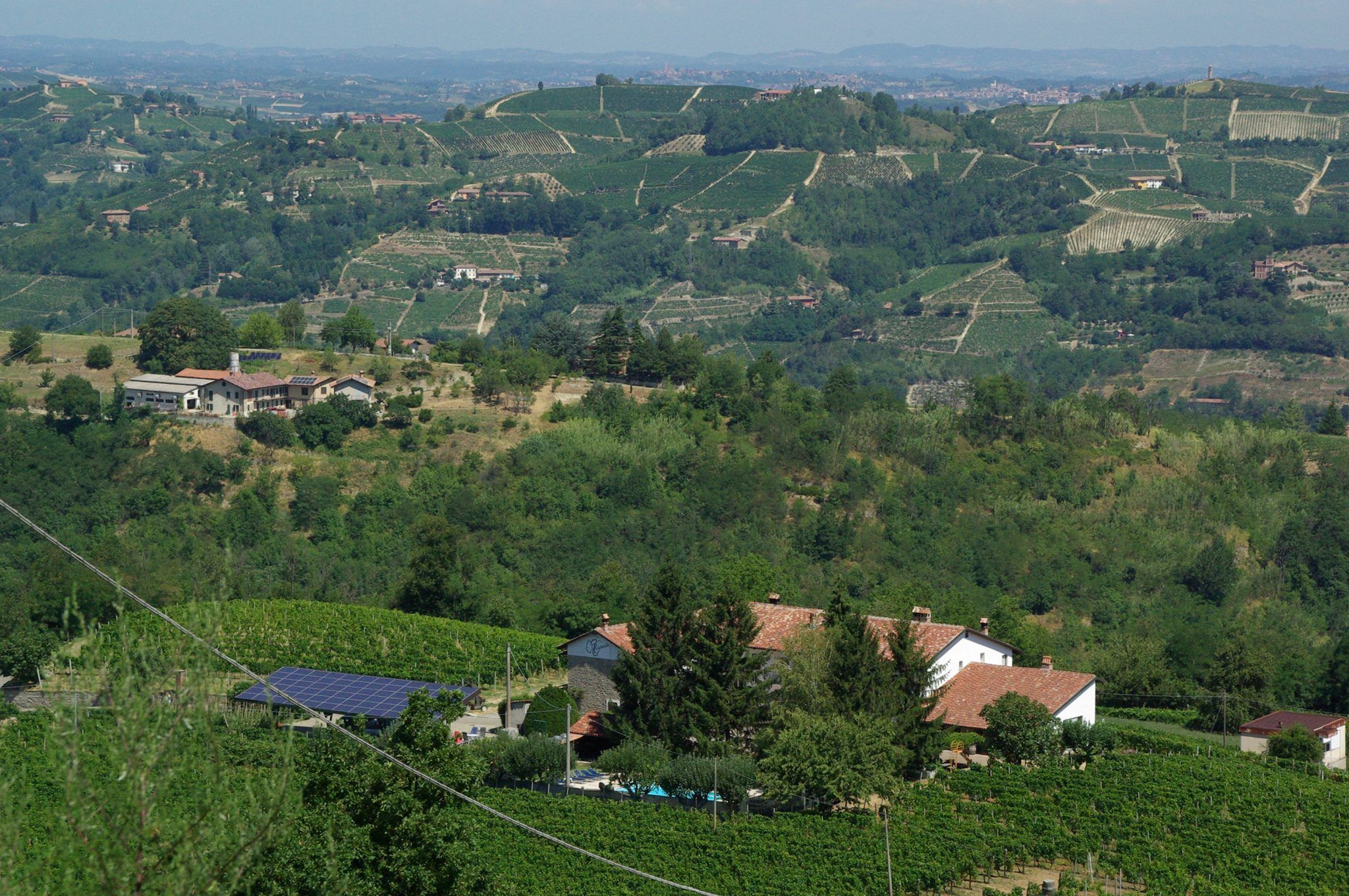 A vineyard landscape with terraced fields and scattered houses.