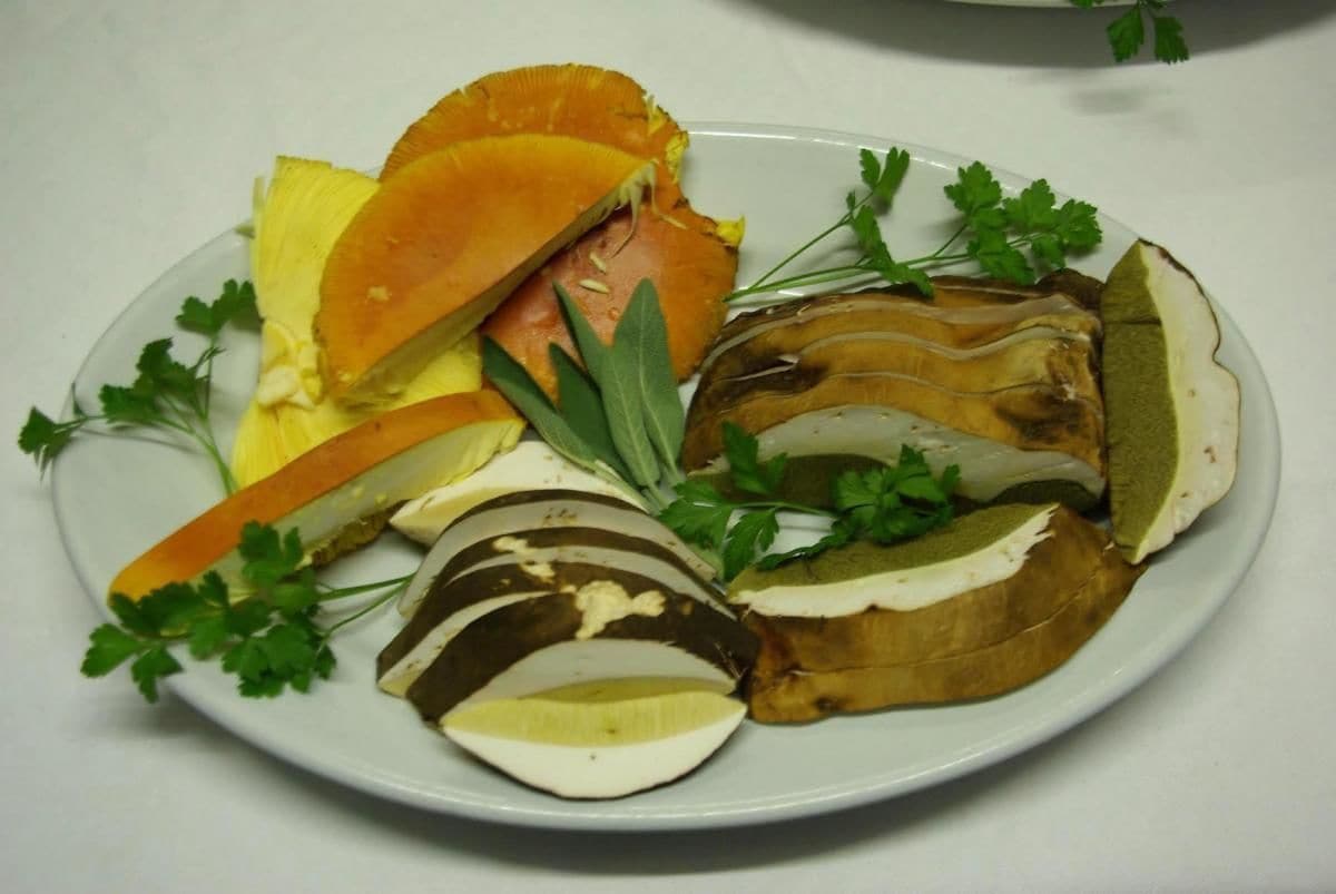 A plate with sliced vegetables and herbs.