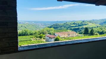 Une vue depuis une fenêtre donnant sur un vignoble et un bâtiment dont le toit est recouvert de tuiles rouges.