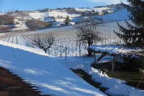 Rows of grapevines stretch across the hillside, bordered by a stone wall and a wooden fence.