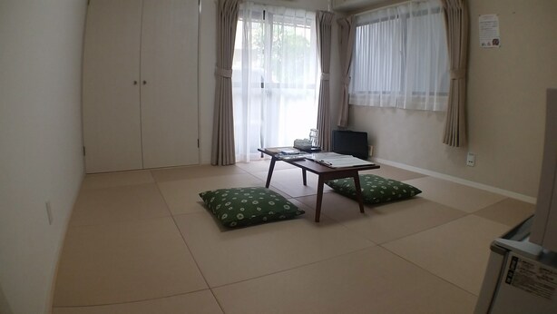 A room with a low table, two green patterned cushions, a laptop, and a small cabinet.