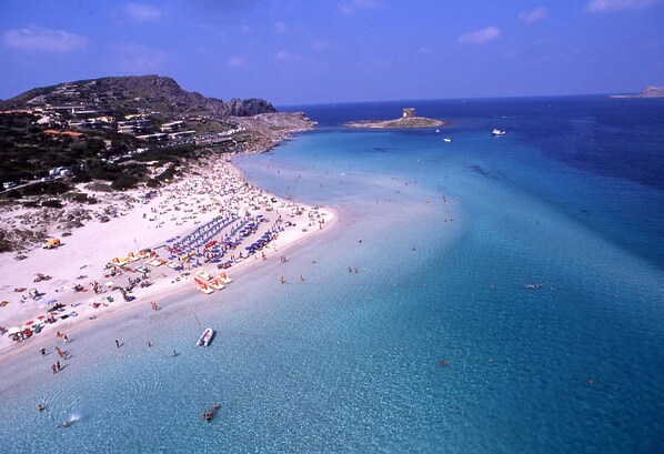 Nära stranden