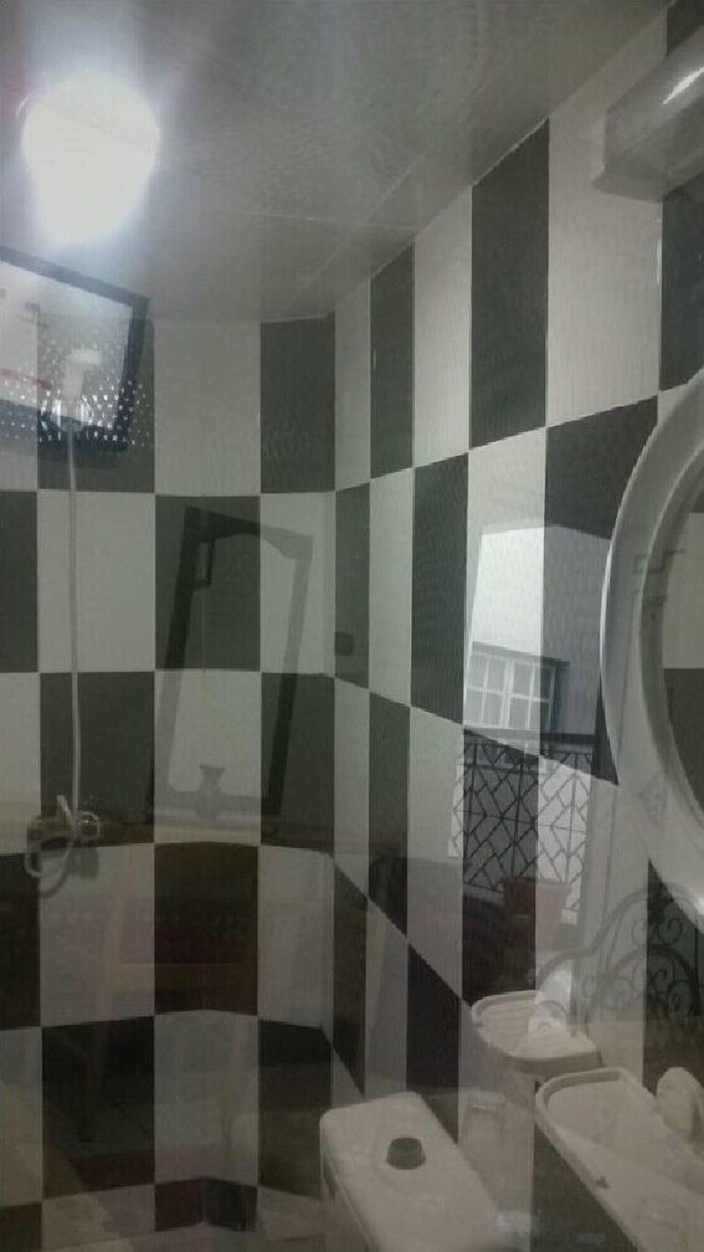 Casa de banho com paredes de azulejos xadrez, chuveiro e sanita.