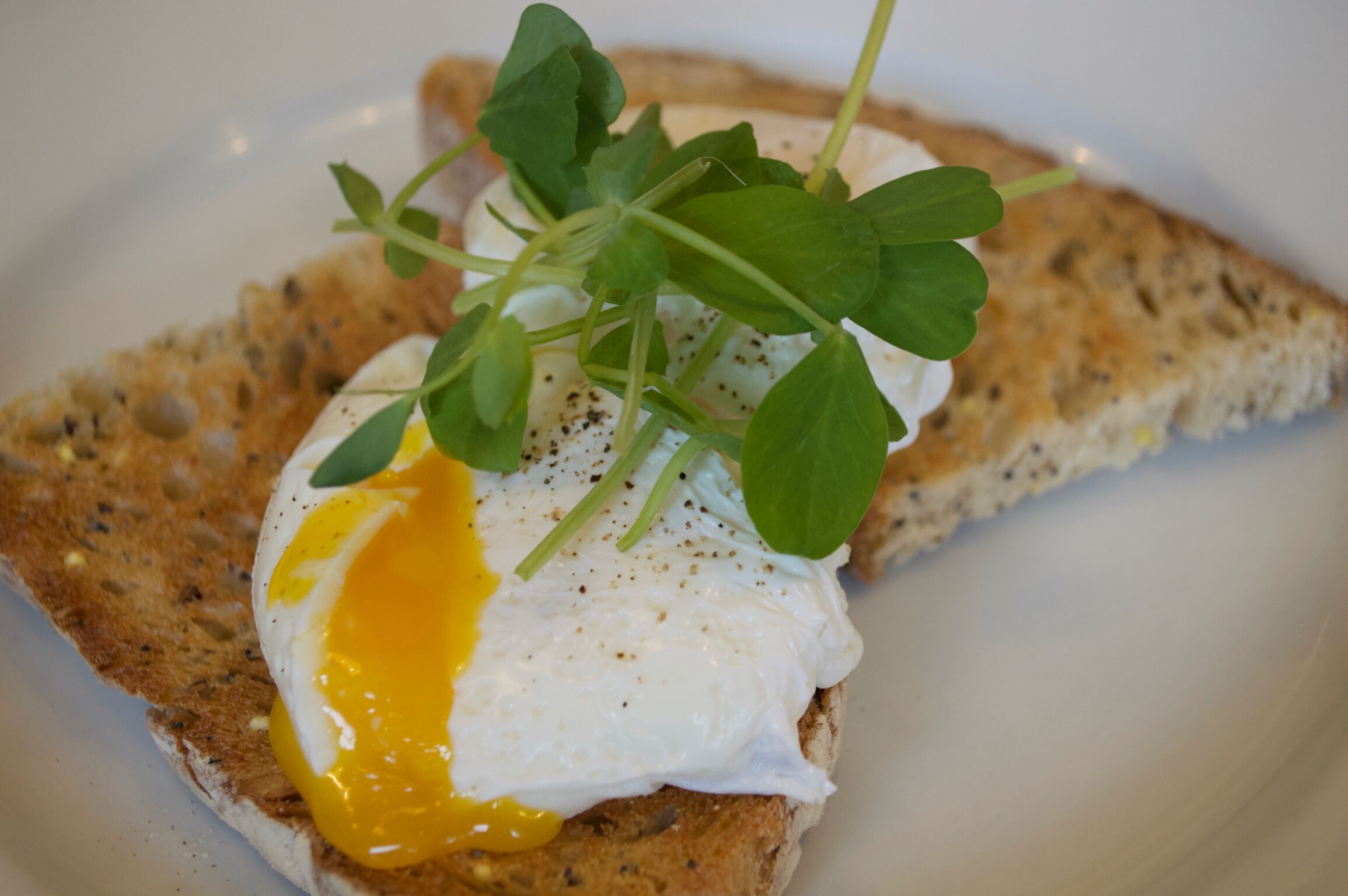 Un piatto da colazione con un uovo in camicia su pane tostato, guarnito con verdure a foglia.