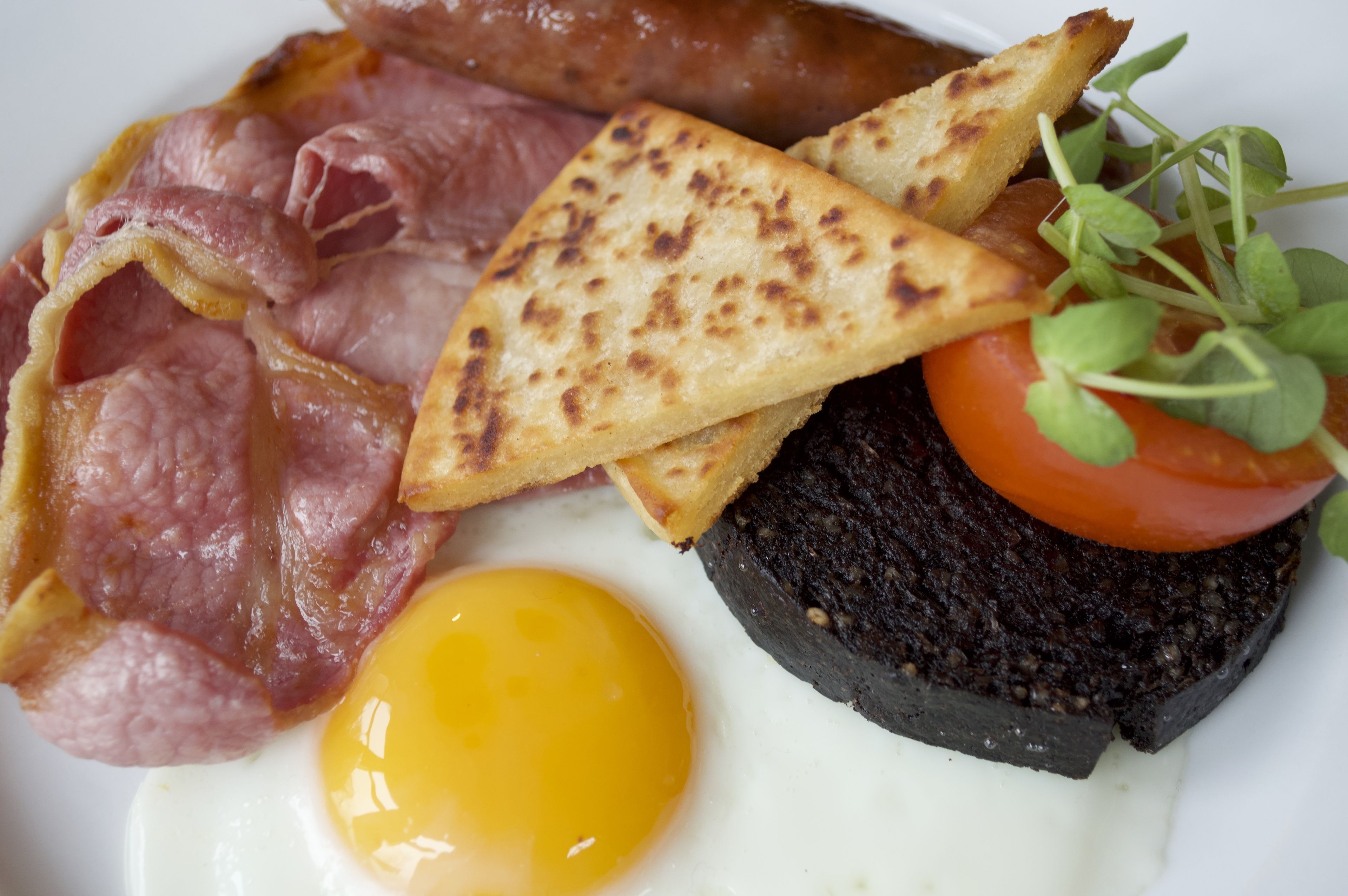 A breakfast plate with bacon, toast, a tomato, and an egg.