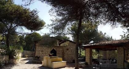 Trullo in the Wood